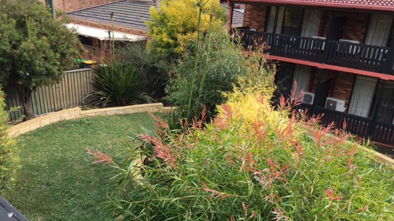 Photo of Outdoor in Campbelltown