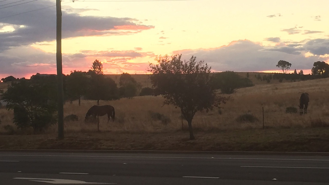Photo of Others in Parkes