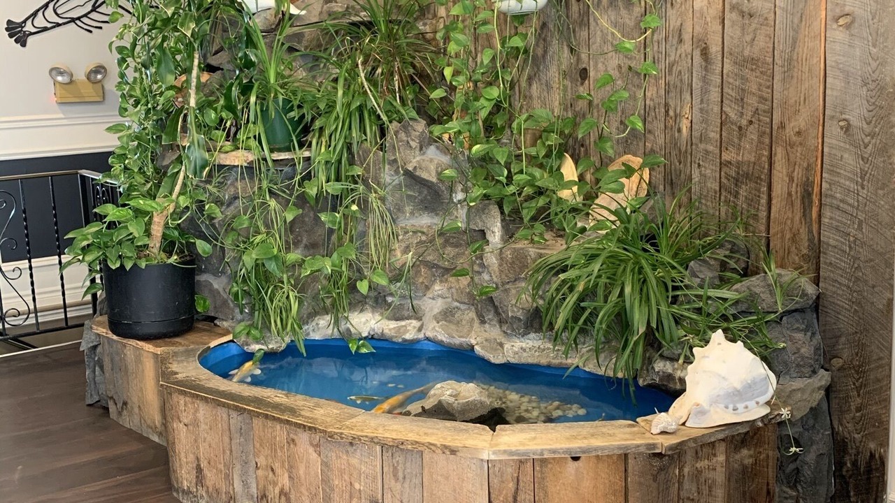 Photo of Others in Digby