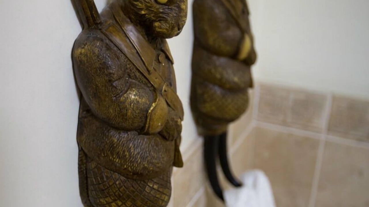 Photo of Others in Bridgnorth