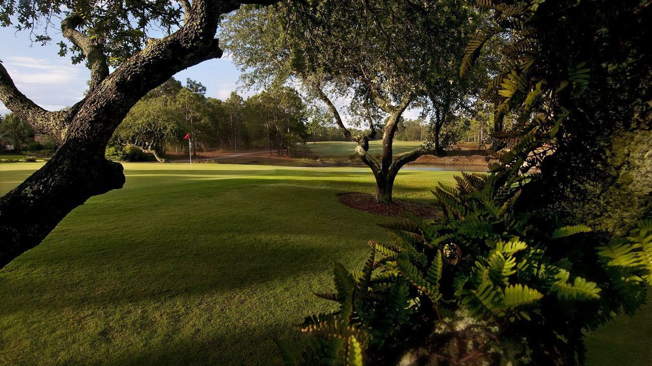 Photo of Outdoor in Myrtle Grove