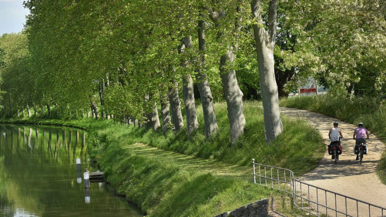 Photo of Outdoor in Carcassonne
