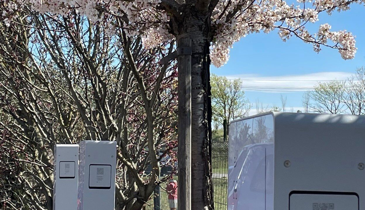Photo of Outdoor in Carcassonne