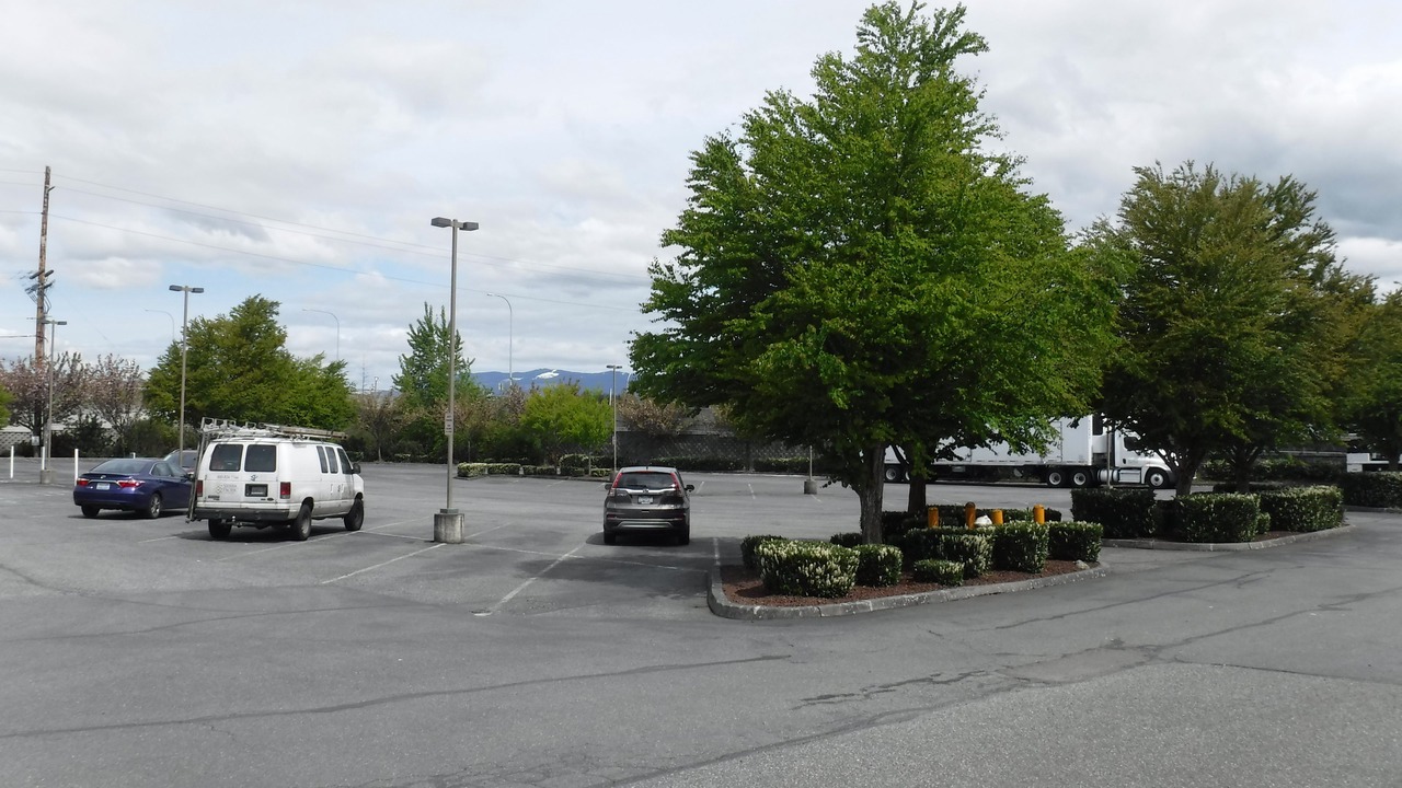 Photo of Others in Mount Vernon