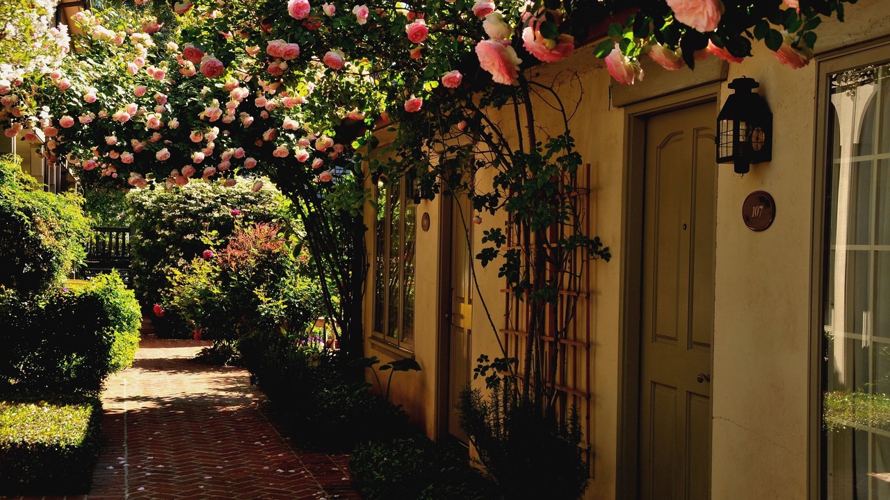 Photo of Outdoor in St. Helena