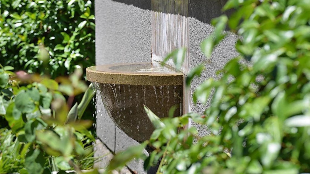 Photo of Outdoor in Santa Rosa