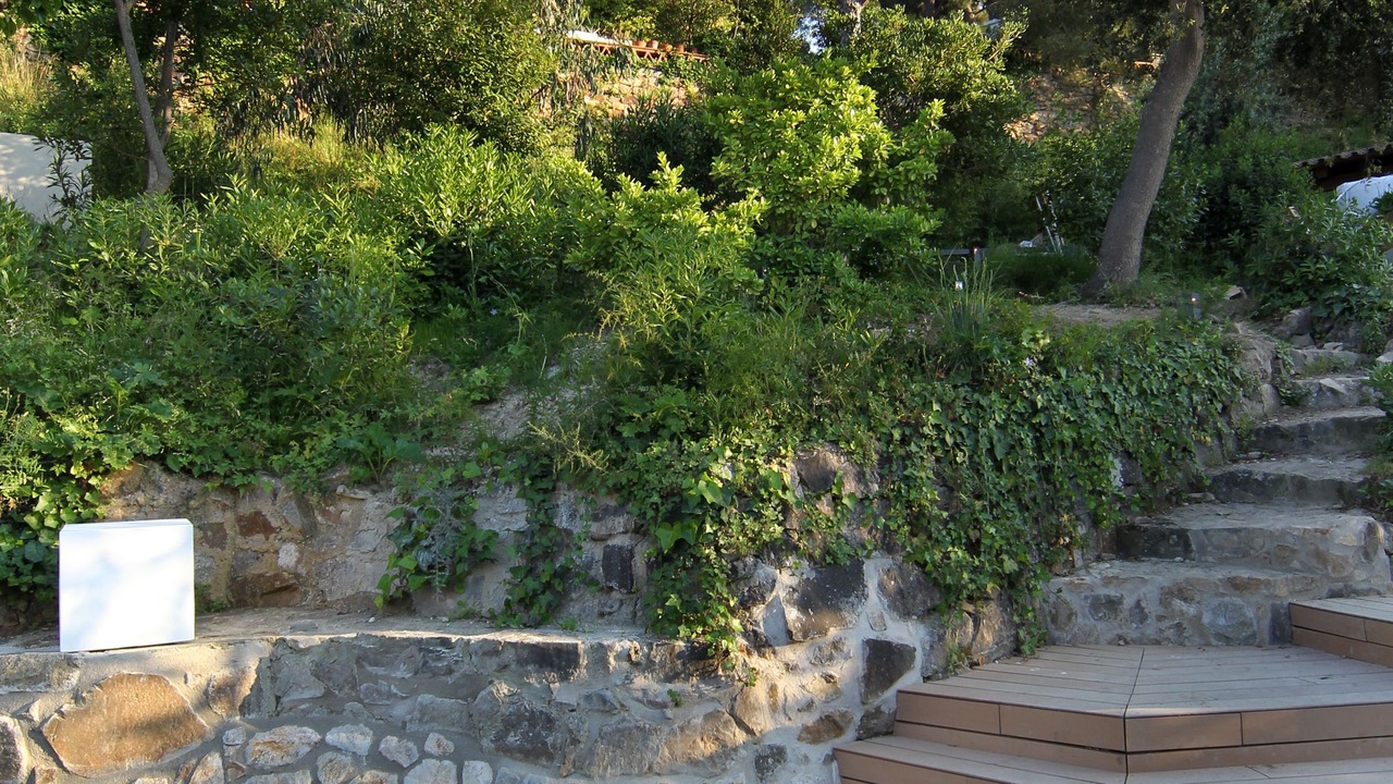 Photo of Outdoor in Tossa de Mar