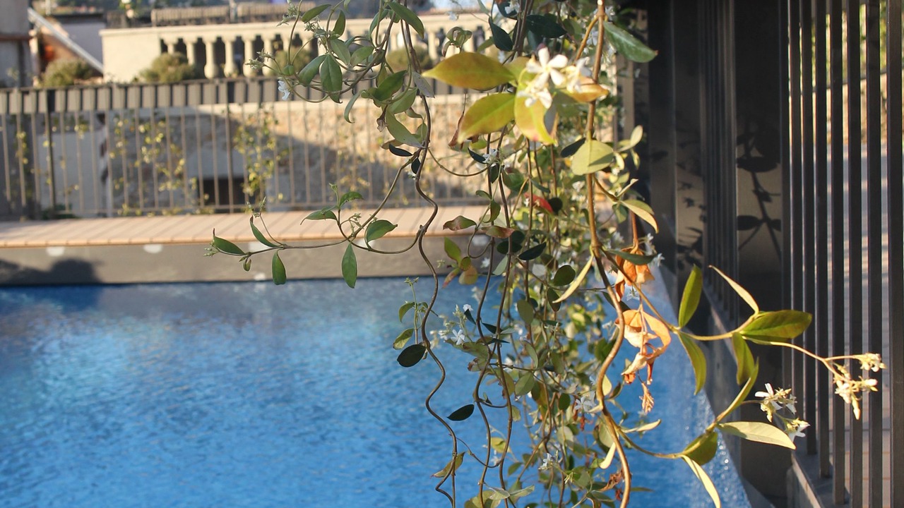 Photo of Outdoor in Tossa de Mar