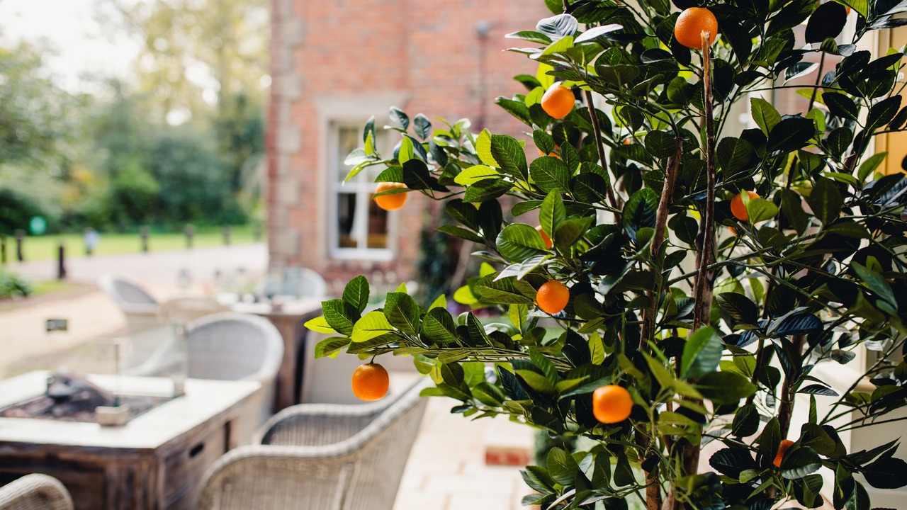 Photo of Others in Putley