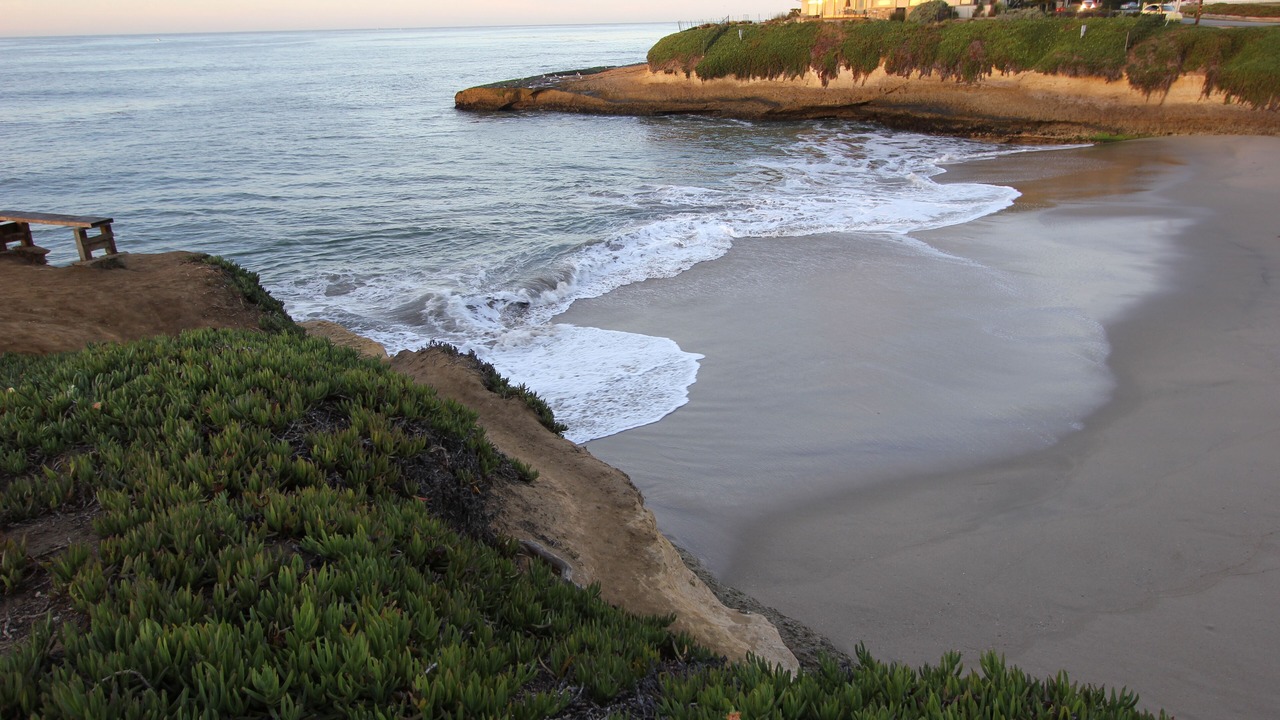 Photo of Others in Eastside Santa Cruz