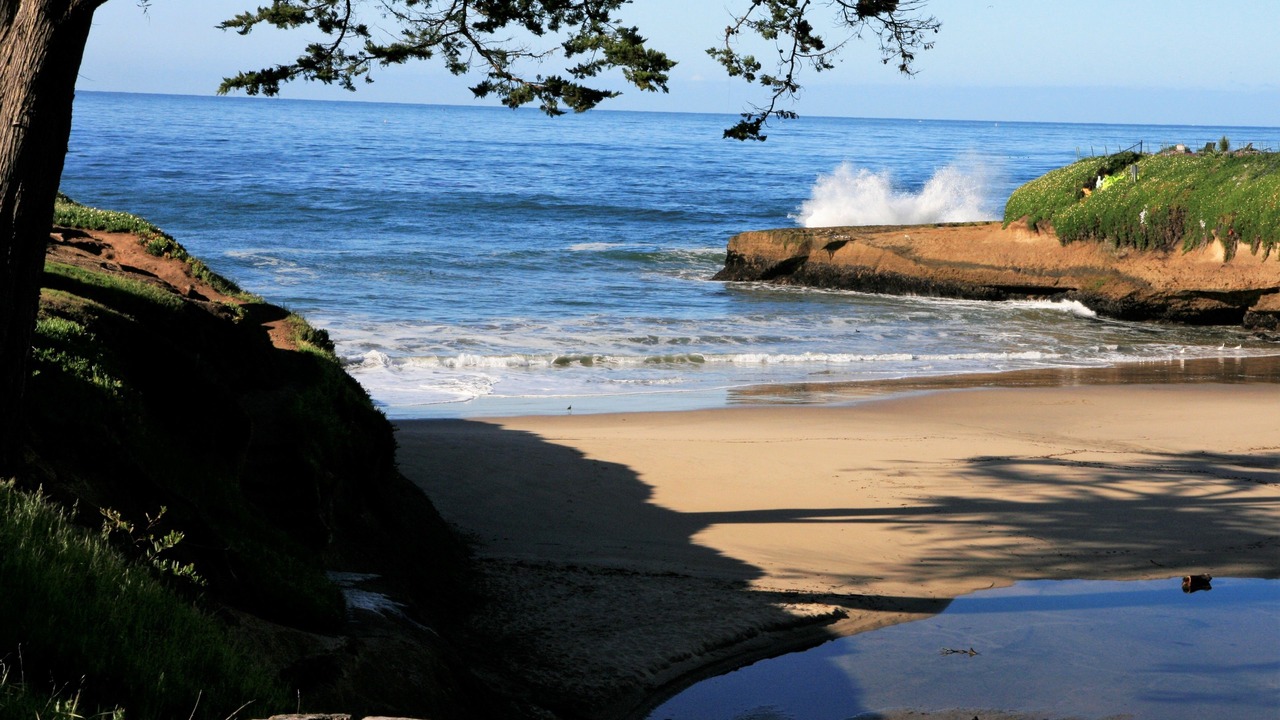 Photo of Others in Eastside Santa Cruz