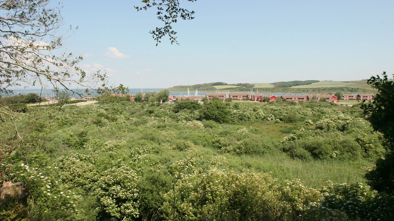 Photo of Others in Lemvig