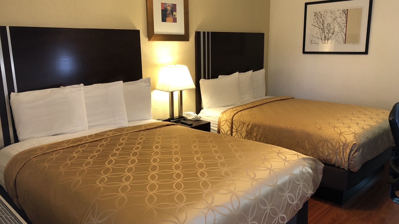 Photo of Bedroom in Cow Hollow