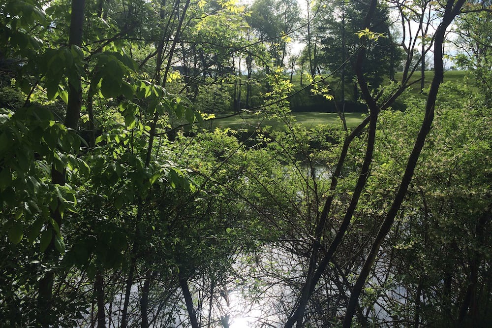 Photo of Others in Ford City