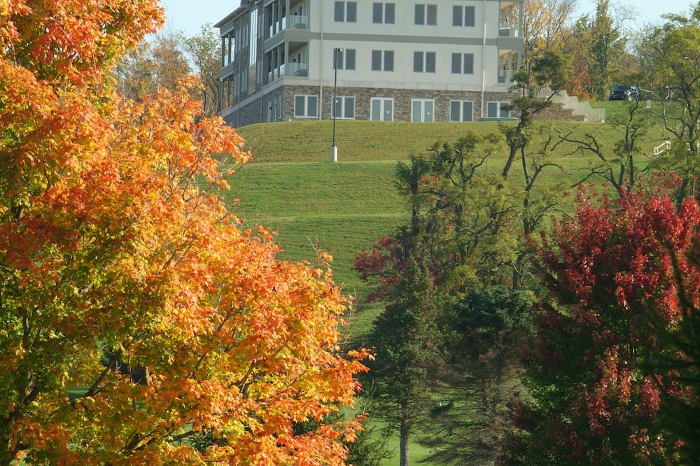 Photo of Outdoor in Ford City