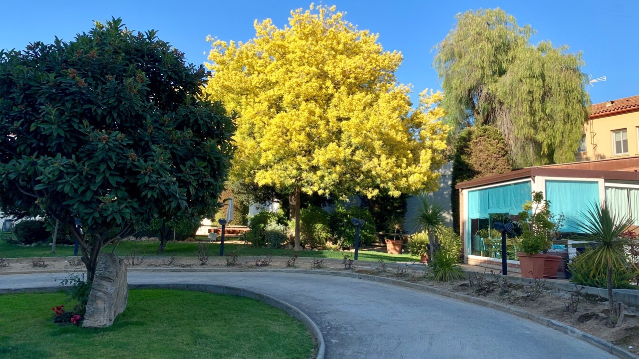 Photo of Outdoor in Rubi