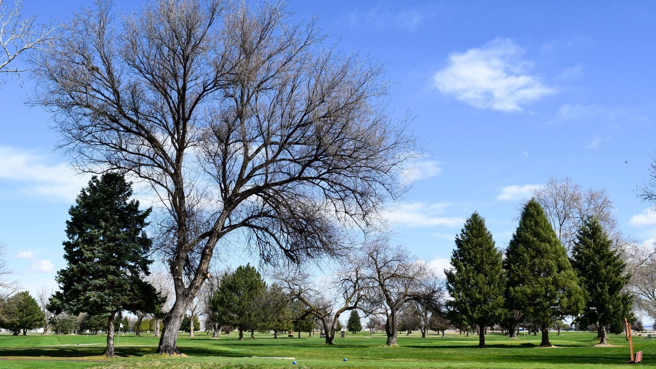 Photo of Others in Umatilla