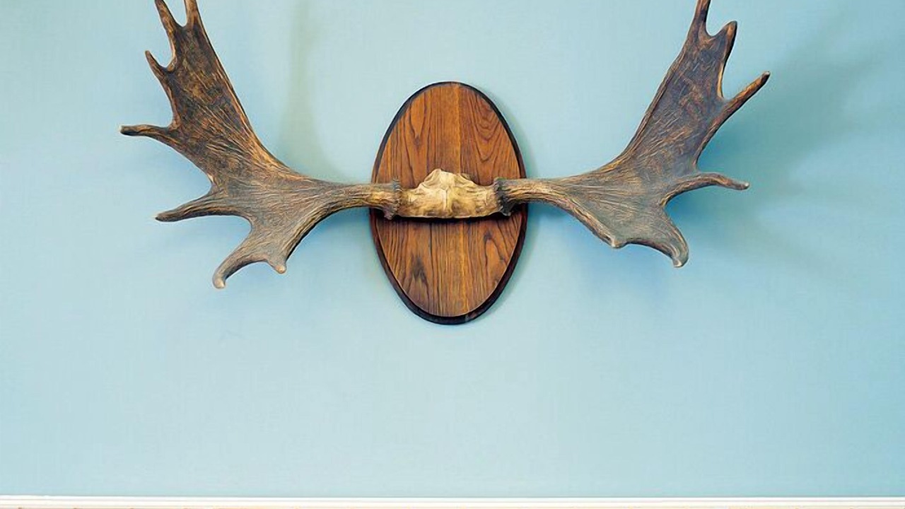 Photo of Others in Gilleleje