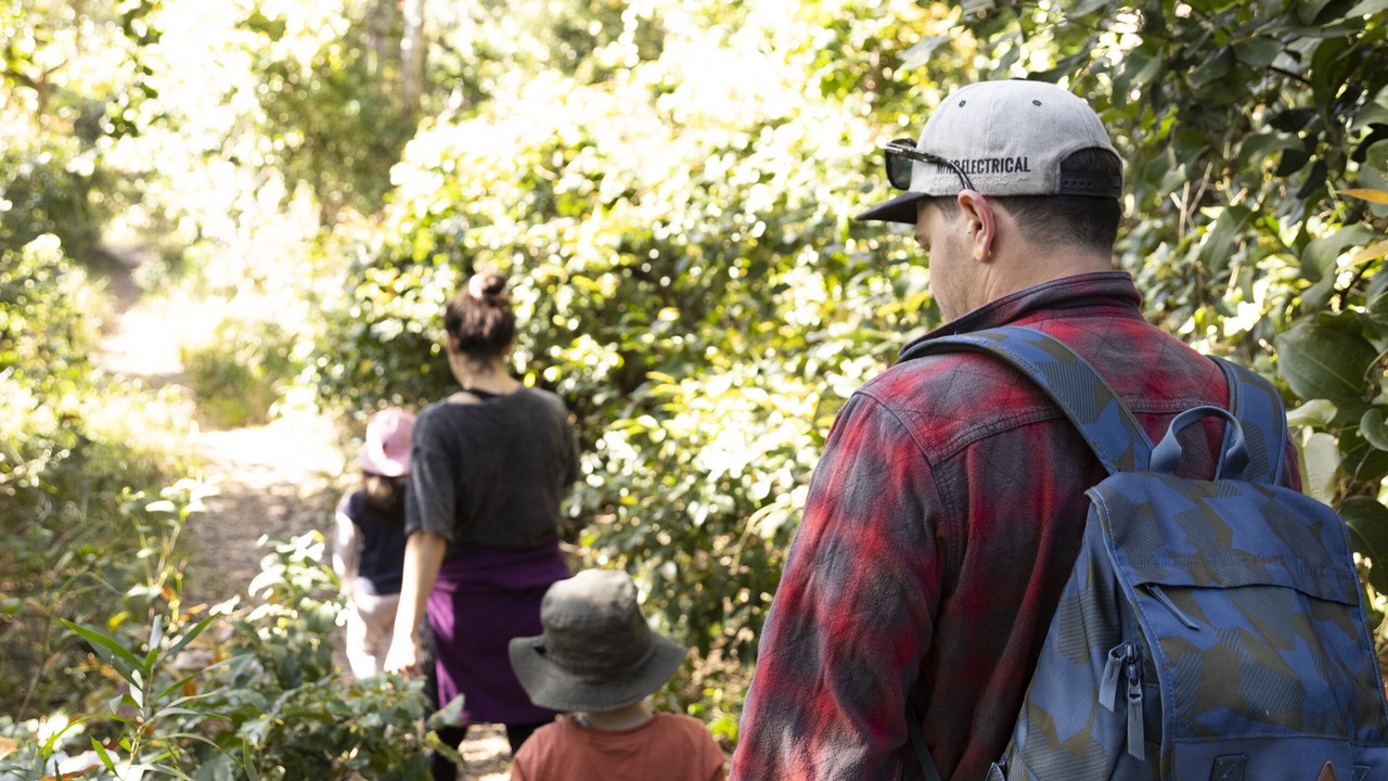 Photo of Outdoor in Hawks Nest