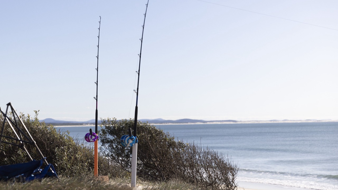 Photo of Others in Hawks Nest