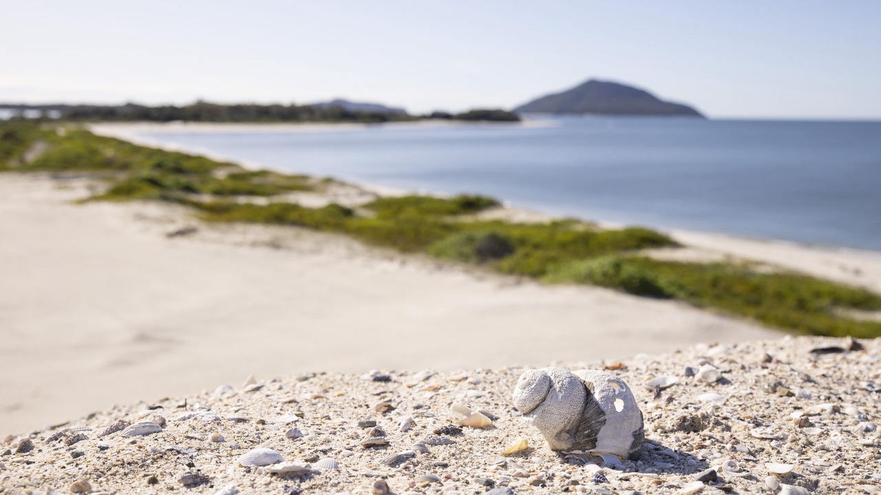 Photo of Others in Hawks Nest