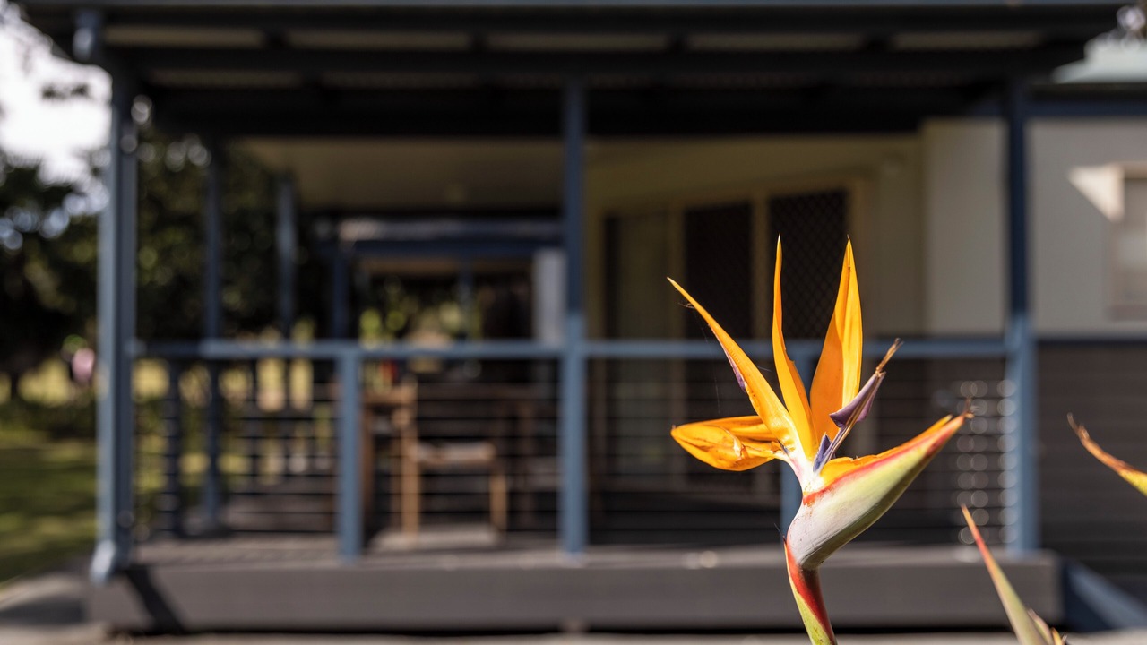 Photo of Outdoor in North Haven