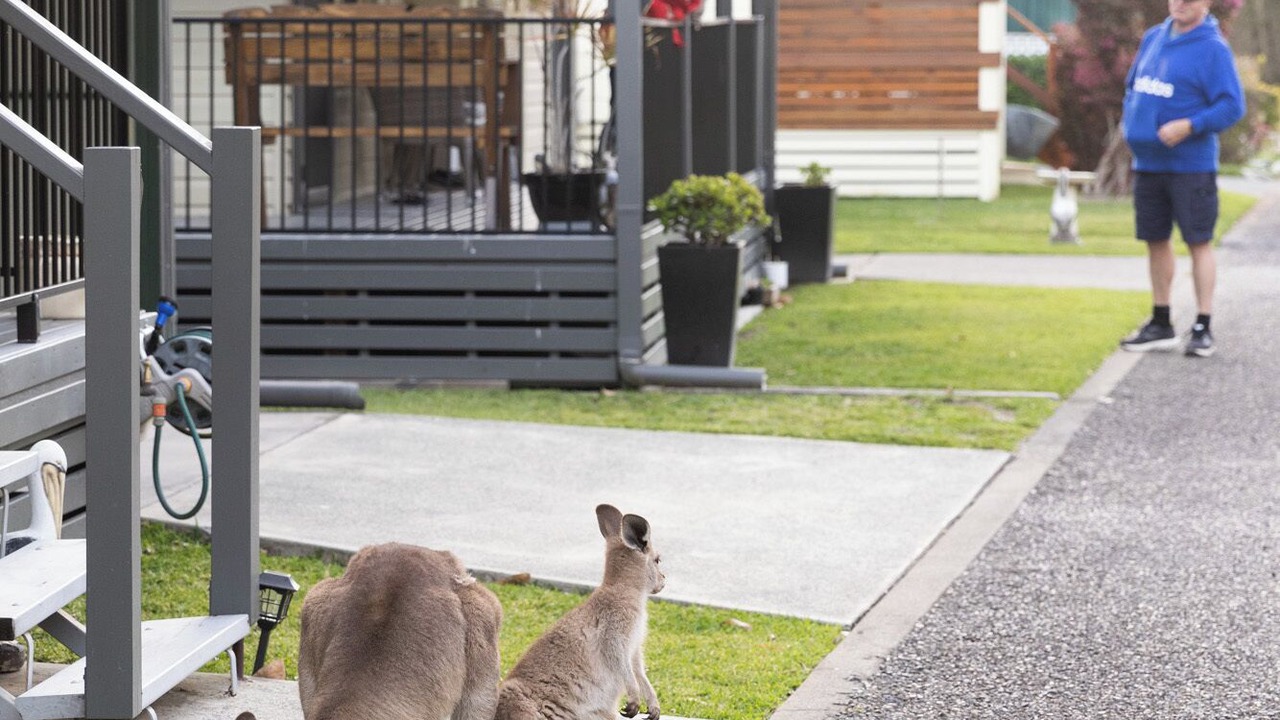 Photo of Outdoor in North Haven