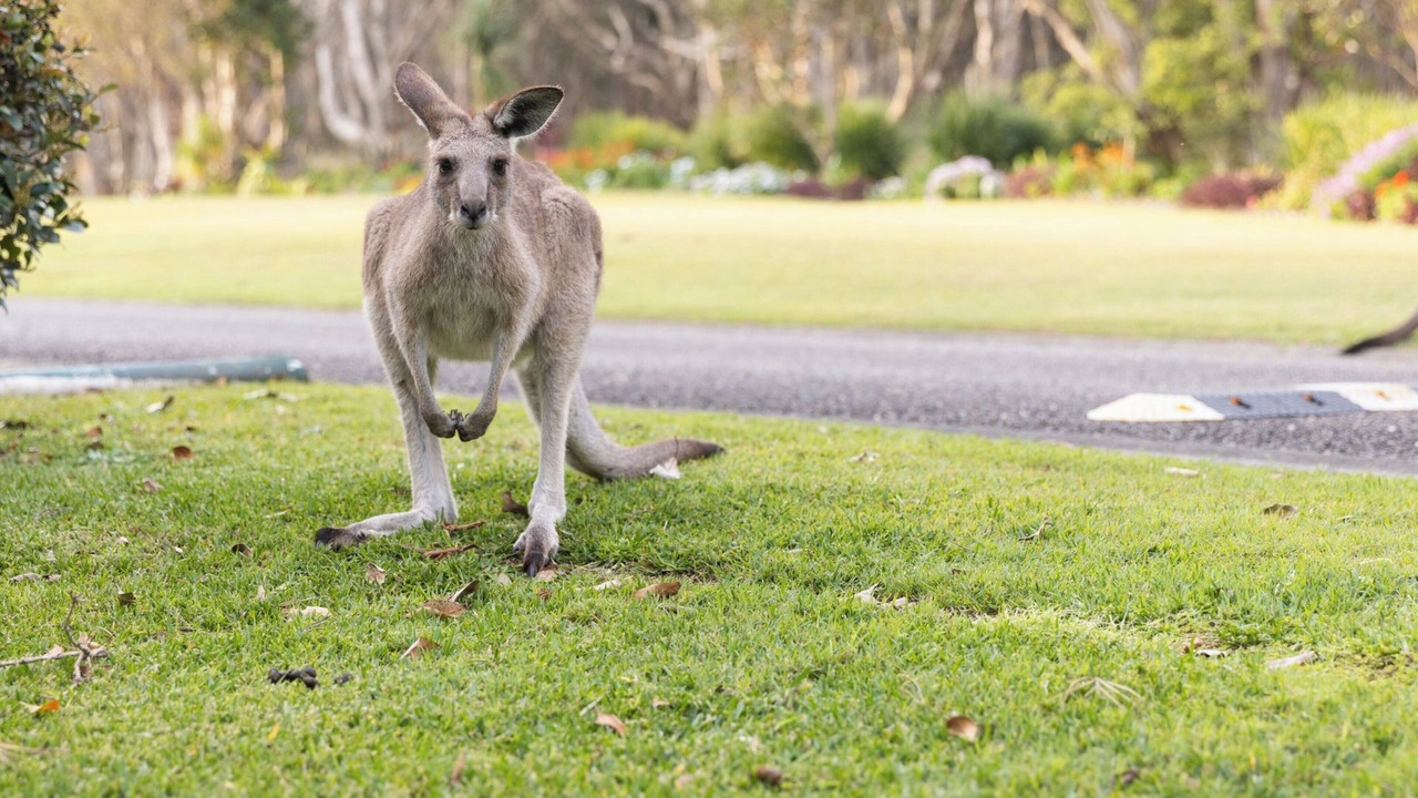 Photo of Outdoor in North Haven