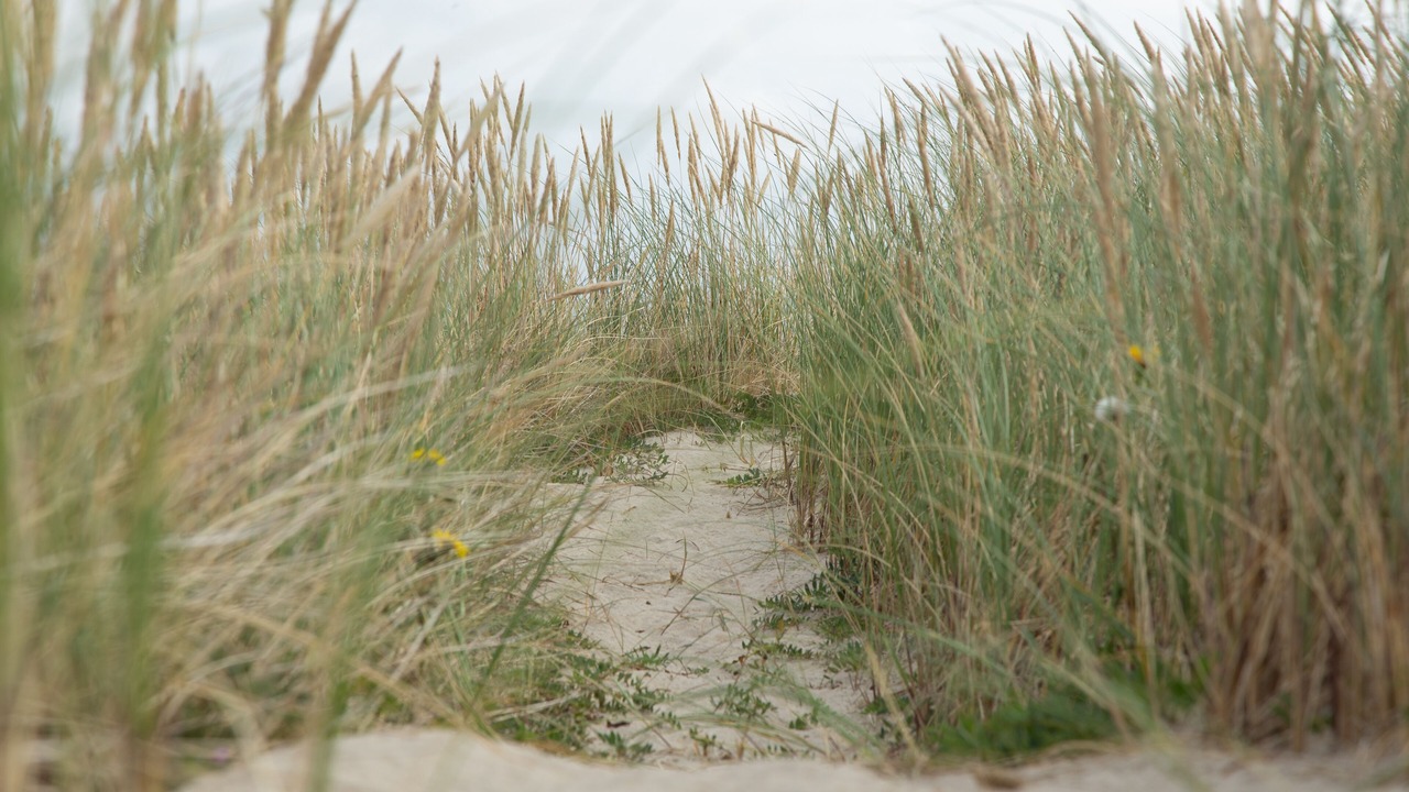 Photo of Outdoor in Slette Strand