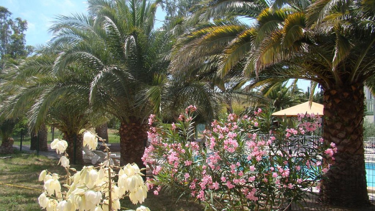 Photo of Outdoor in Rivesaltes