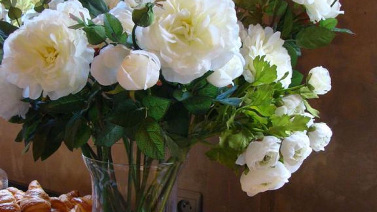 Photo of Others in Rivesaltes