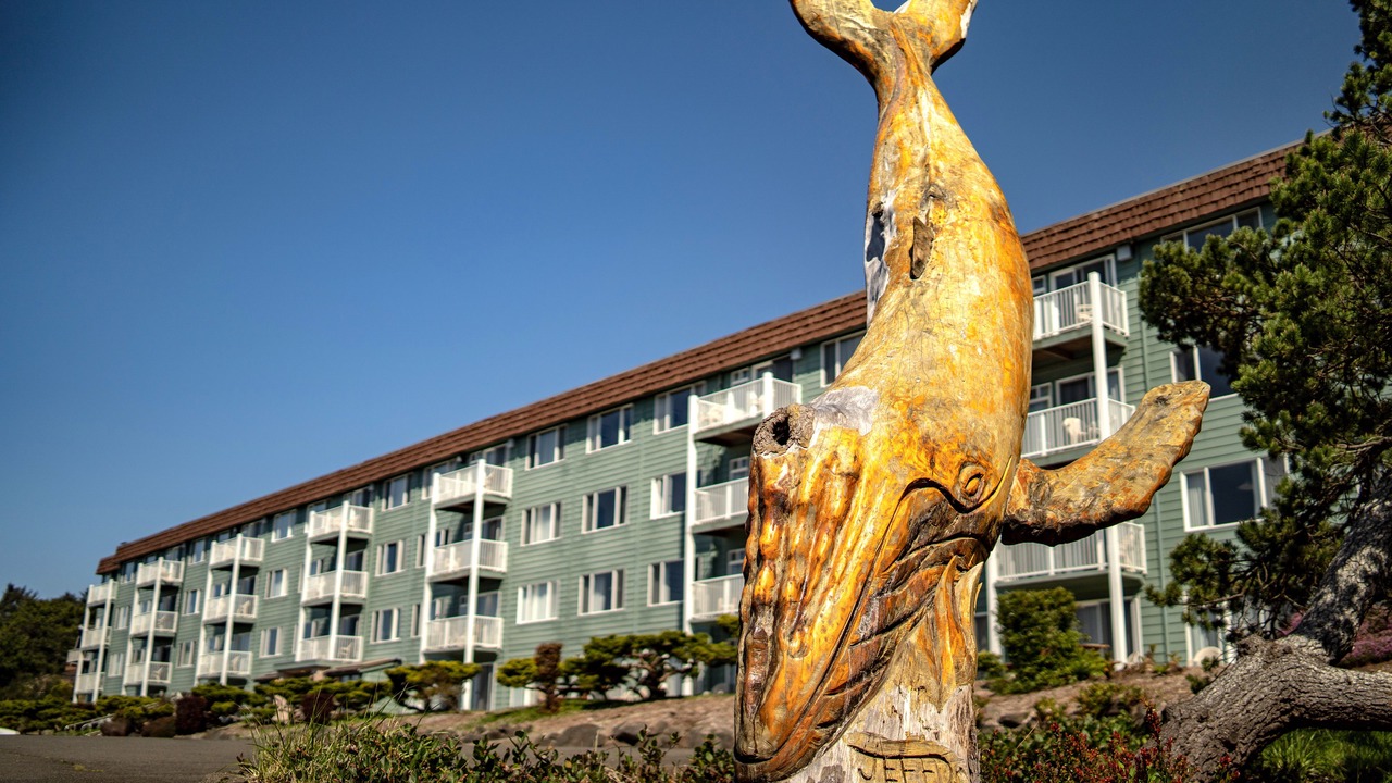 Photo of Outdoor in Westport