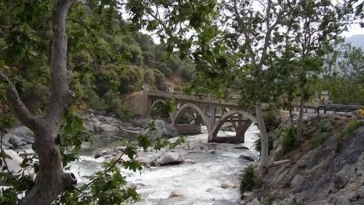 Photo of Others in Three Rivers