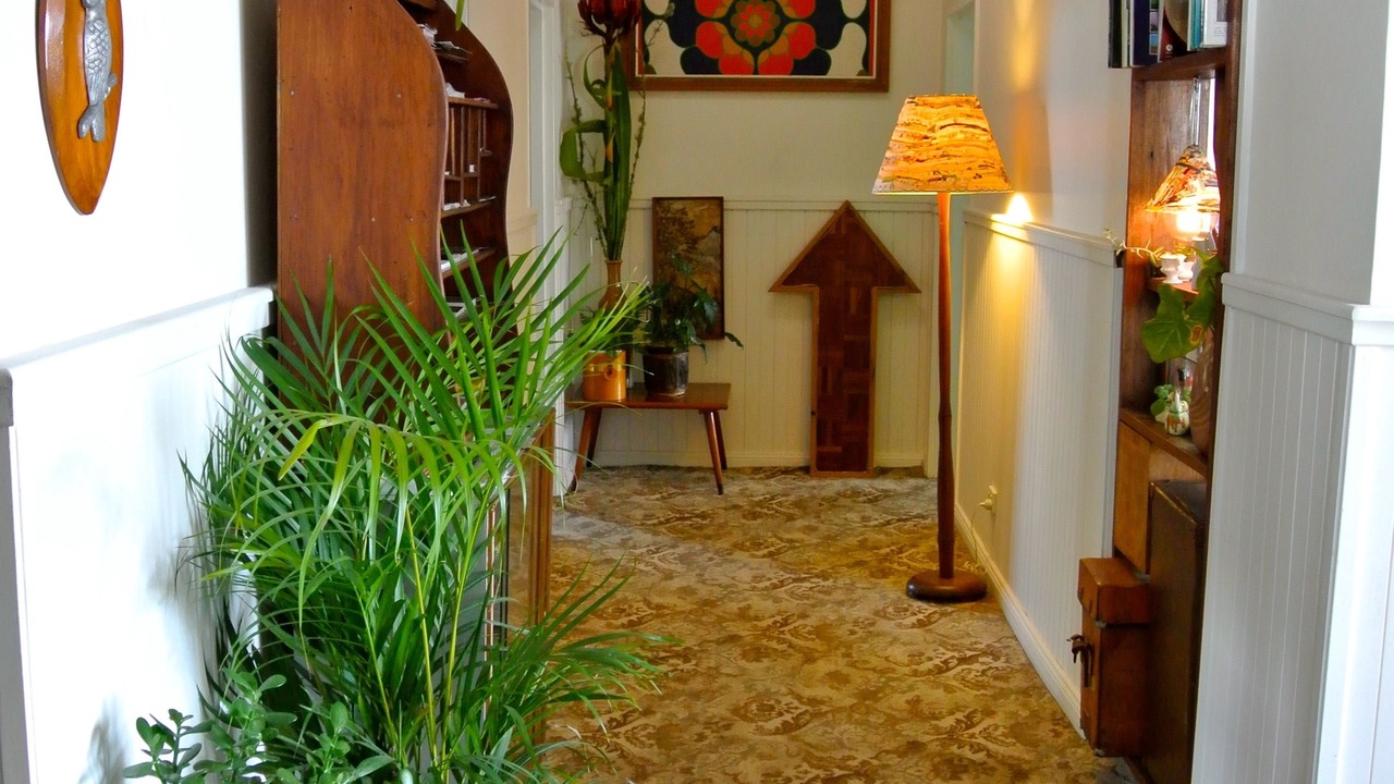 Photo of Others in Cessnock