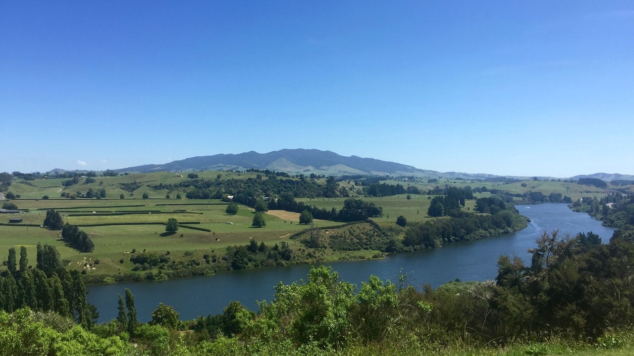 Photo of Others in Karapiro