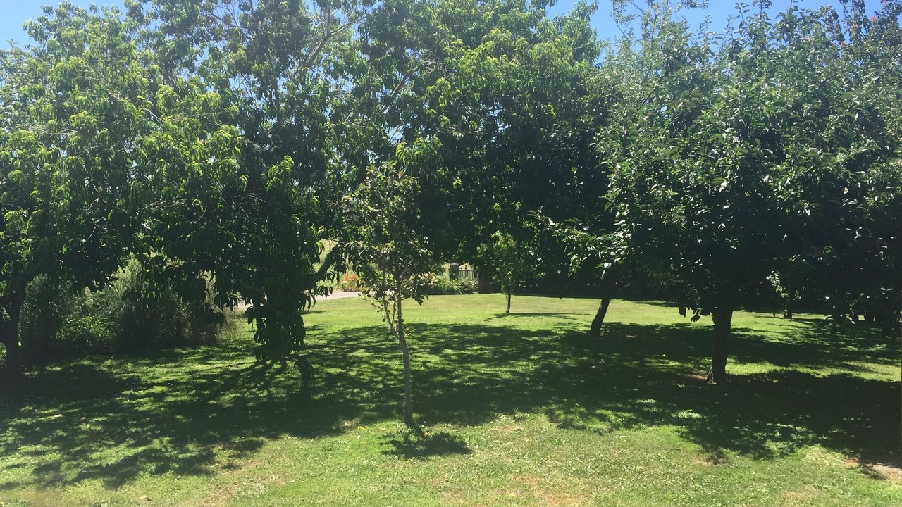 Photo of Outdoor in Karapiro