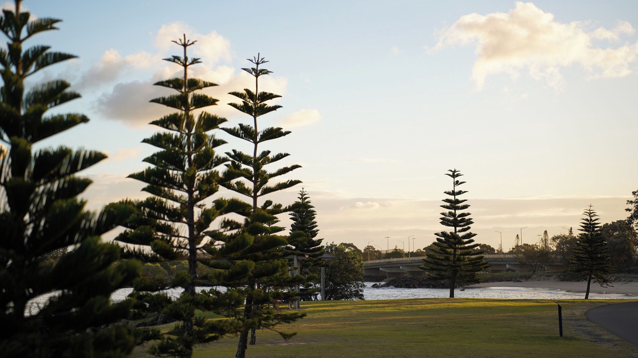 Photo of Outdoor in East Ballina