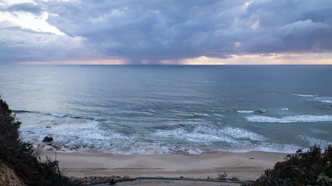 Photo of Others in Nambucca Heads