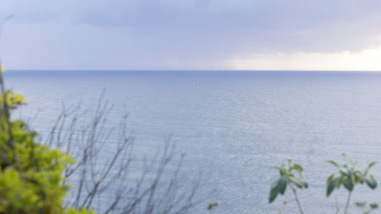 Photo of Outdoor in Nambucca Heads