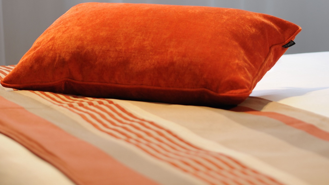 Photo of Bedroom in Chassieu