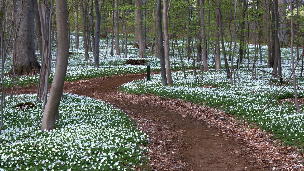 Photo of Outdoor in Stouby