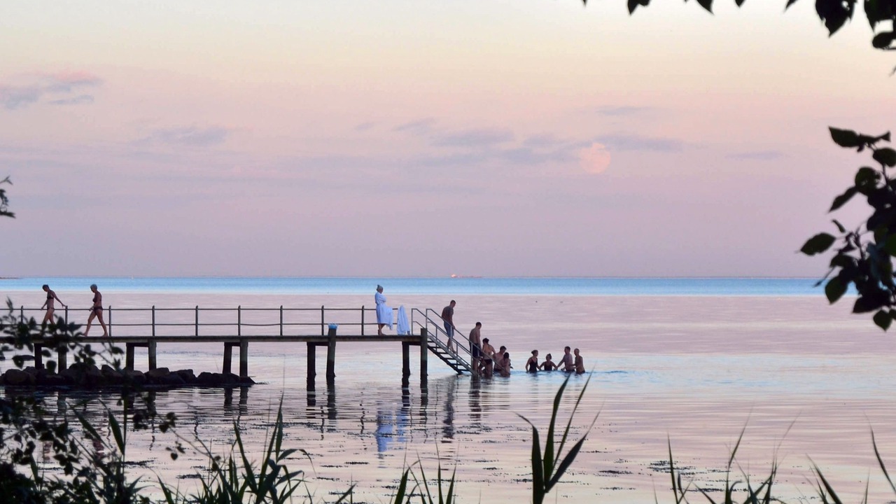 Photo of Others in Stouby