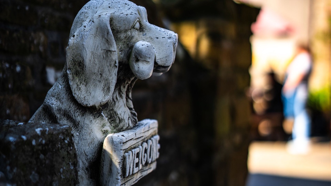 Photo of Others in St. Margaret's Hope