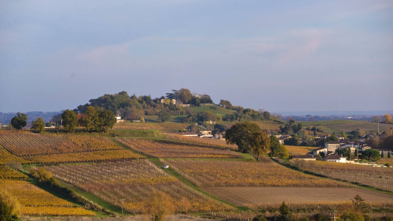 Photo of Others in Saint-Michel-de-Fronsac