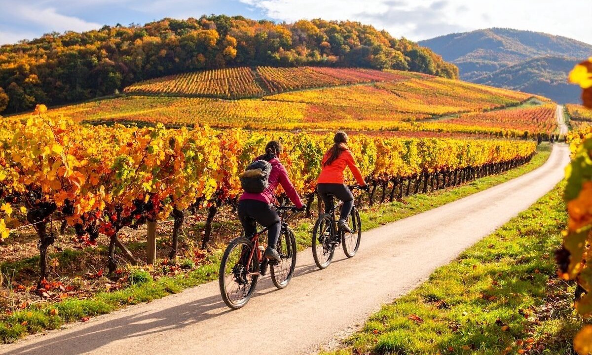 Photo of Outdoor in Saint-Michel-de-Fronsac