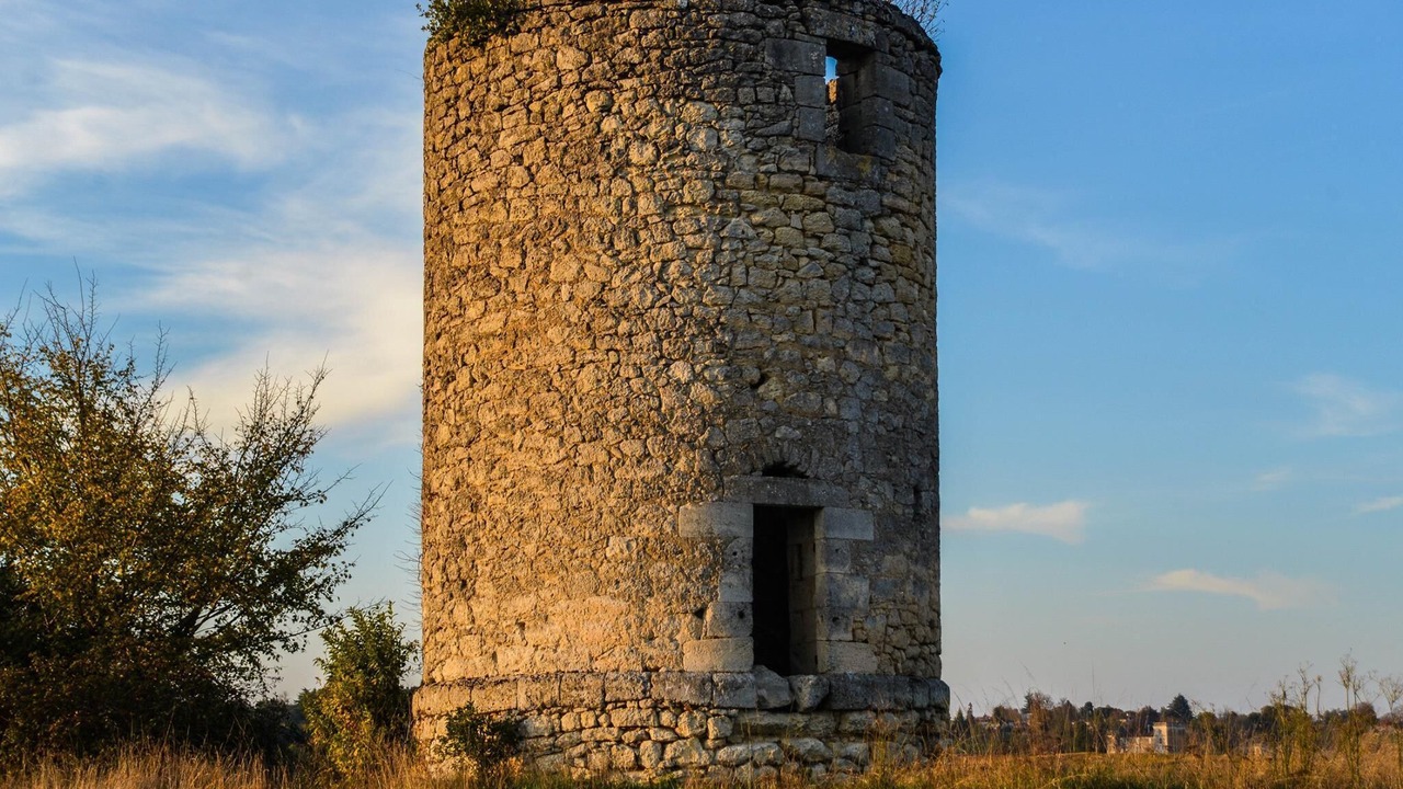 Photo of Others in Saint-Michel-de-Fronsac