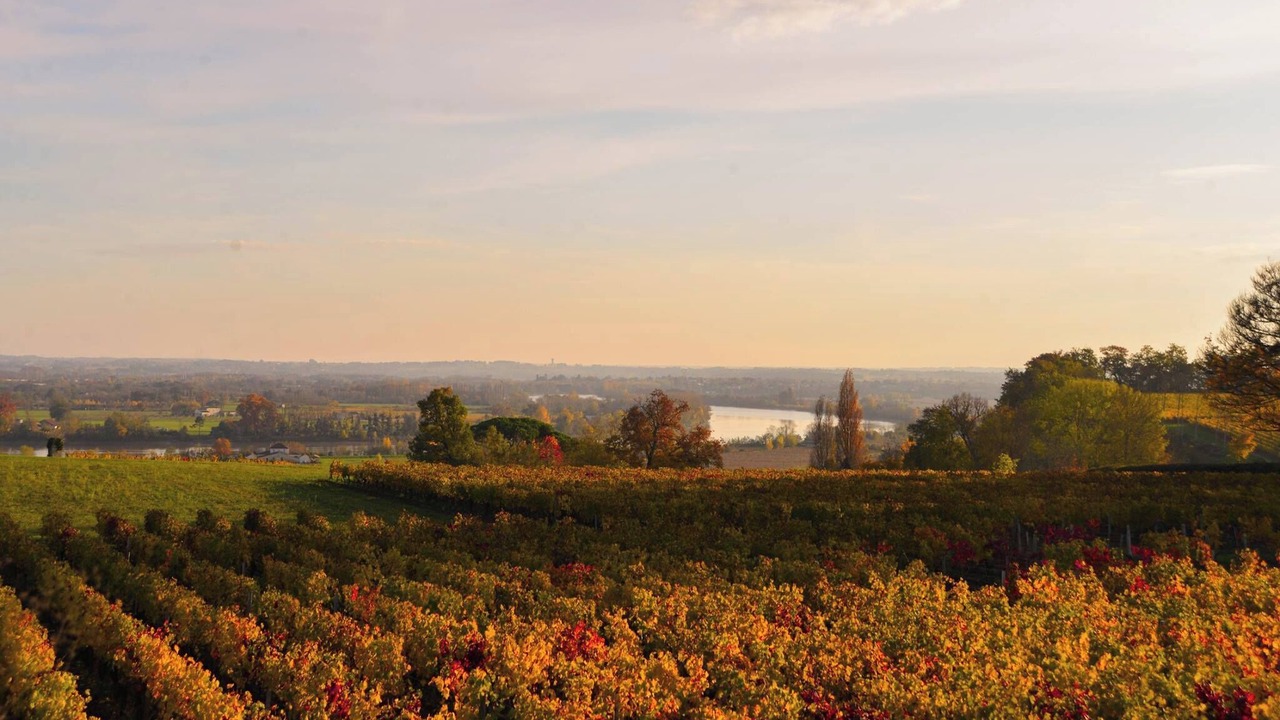 Photo of Others in Saint-Michel-de-Fronsac
