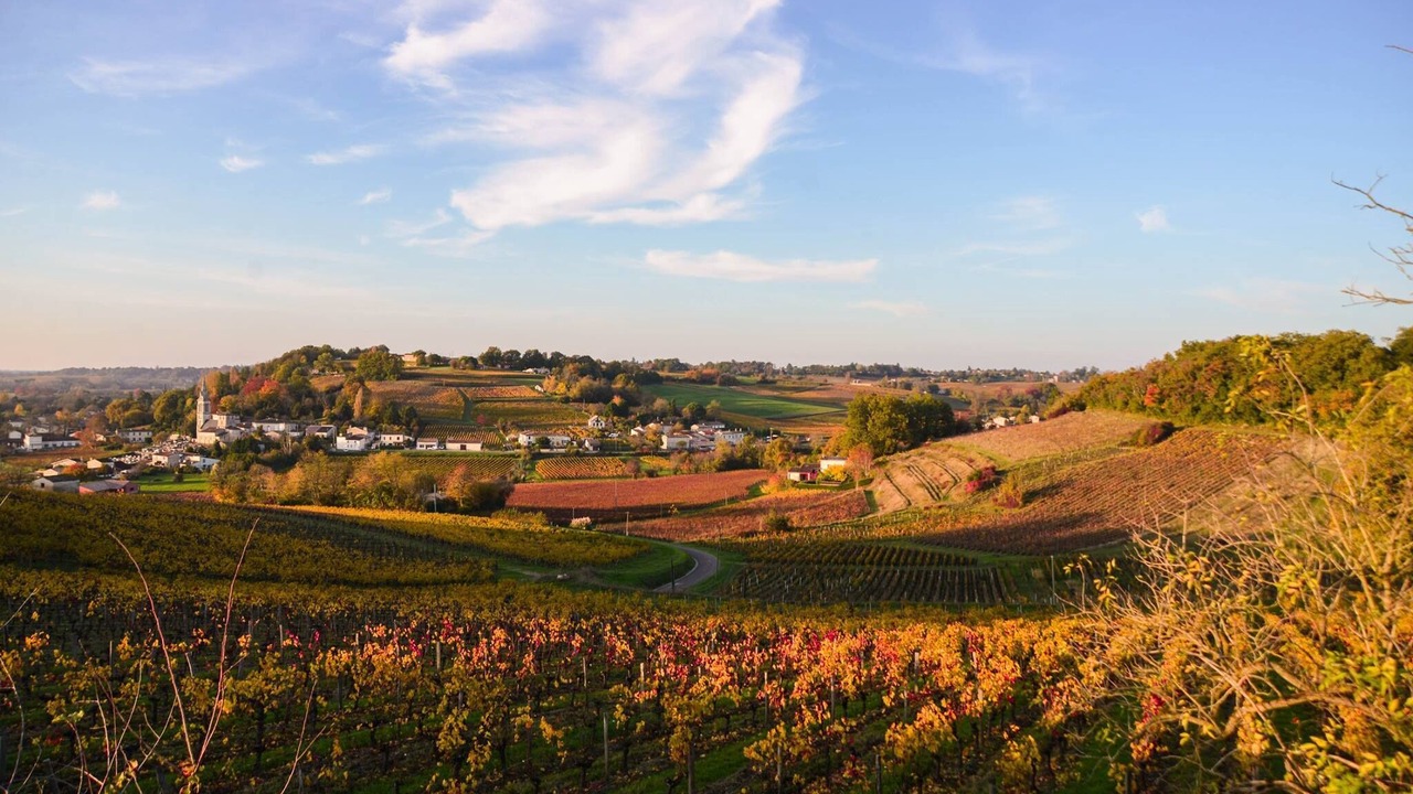 Photo of Others in Saint-Michel-de-Fronsac