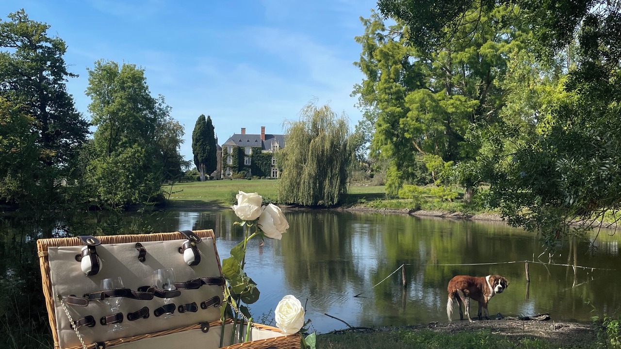 Photo of Others in Saint-Georges-sur-Loire