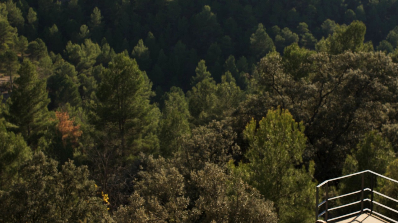 Photo of Outdoor in Monroyo